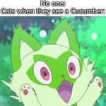 Cats:"Nigerundayo!" | No one:
Cats when they see a Cucumber: | image tagged in memes,funny,cats,cucumber | made w/ Imgflip meme maker