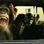 monkey car GIF Template