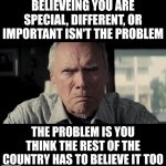 This basically sums up all of the victim narcissism sweeping the country. | BELIEVEING YOU ARE SPECIAL, DIFFERENT, OR IMPORTANT ISN'T THE PROBLEM; THE PROBLEM IS YOU THINK THE REST OF THE COUNTRY HAS TO BELIEVE IT TOO | image tagged in mad clint eastwood,important,modern problems,21st century,in real life,expectation vs reality | made w/ Imgflip meme maker