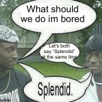 Splendid. | What should we do im bored; Let’s both say “Splendid” at the same time | image tagged in gyatt | made w/ Imgflip meme maker
