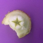 Apple star