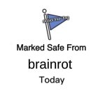 Brainrot free | skibidi free  flag; brainrot | image tagged in memes,marked safe from | made w/ Imgflip meme maker