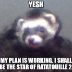 zach's ferret | YESH; MY PLAN IS WORKING. I SHALL BE THE STAR OF RATATOUILLE 2. | image tagged in zach's ferret | made w/ Imgflip meme maker