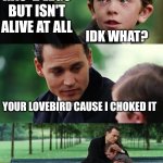My lovebird d@ed (joke) | WHAT HAS  2 LEGS BUT ISN'T ALIVE AT ALL; IDK WHAT? YOUR LOVEBIRD CAUSE I CHOKED IT | image tagged in memes,finding neverland | made w/ Imgflip meme maker