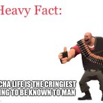 Fax | GACHA LIFE IS THE CRINGIEST THING TO BE KNOWN TO MAN | image tagged in heavy fact,fax,oh wow are you actually reading these tags | made w/ Imgflip meme maker