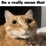 Do u really mean that cat