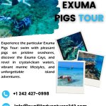 Exuma Pigs Tour