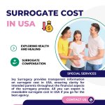Surrogate Cost In USA