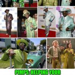 Funny | PIMPS: HELPING YOUR GRANDMA'S YARD-SALE CURTAINS TRANSITION TO PARTY OUTFITS SINCE MEDIEVAL TIMES. | image tagged in funny,party,fashion,pimp,prostitute,life hack | made w/ Imgflip meme maker