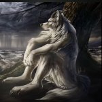 sad alpha wolf