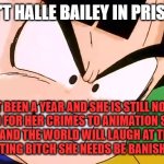 gohan frustrated at the evil ugly woman | WHY ISN'T HALLE BAILEY IN PRISON YET ? IT BEEN A YEAR AND SHE IS STILL NOT ARRESTED FOR HER CRIMES TO ANIMATION SHE NEEDS A TRIAL AND THE WORLD WILL LAUGH AT THIS EVIL UGLY DISGUSTING BITCH SHE NEEDS BE BANISHED FOREVER | image tagged in frustrated gohan dbz,trial,arrested,ugly woman,why,turd | made w/ Imgflip meme maker