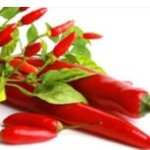 Hot chili peppers