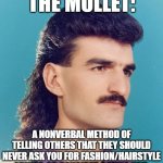 The Mullet | THE MULLET:; A NONVERBAL METHOD OF TELLING OTHERS THAT THEY SHOULD NEVER ASK YOU FOR FASHION/HAIRSTYLE ADVICE, OR CONSIDER DATING YOU. | image tagged in mullet,fashion,1980s,80s,80's,1980's | made w/ Imgflip meme maker