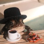 Toad Tea 2