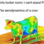 Aerodynamical model of a cow meme