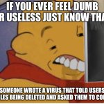 Dumb Winnie | IF YOU EVER FEEL DUMB OR USELESS JUST KNOW THAT; SOMEONE WROTE A VIRUS THAT TOLD USERS THE FILES BEING DELETED AND ASKED THEM TO CONFIRM | image tagged in dumb winnie,computer virus | made w/ Imgflip meme maker