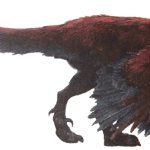 Pyroraptor 5 (JWD Design)