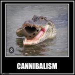 Croc eating croc | CANNIBALISM | image tagged in what how,cannibalism,crocs | made w/ Imgflip meme maker