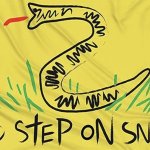 No step on snek flag