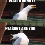 Average imgfliper | OKAY; WAIT A MINUTE; PEASANT ARE YOU; UPVOTE BEGGING?! | image tagged in memes,inhaling seagull | made w/ Imgflip meme maker