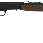 Browning .22 Semi-auto rifle