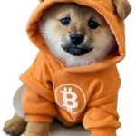 $DOGGOTOTHEMOON