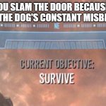 Ohhhhkkkaaaaaaaayyyyyyyyy well let's maybe watch out for that | WHEN YOU SLAM THE DOOR BECAUSE YOU'RE TIRED OF THE DOG'S CONSTANT MISBEHAVIOUR | image tagged in current objective survive,memes,relatable,dank,uh oh,survive | made w/ Imgflip meme maker