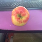 Cool apple top
