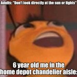 Home depot is still magical | Adults: "Don't look directly at the sun or lights"; 6 year old me in the home depot chandelier aisle: | image tagged in bee movie | made w/ Imgflip meme maker