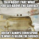 Frog | TALK ABOUT THAT WHAT YOU SEE ABOVE THE SURFACE; DOESN'T ALWAYS CORRESPOND TO WHAT IS BELOW THE SURFACE | image tagged in frog | made w/ Imgflip meme maker