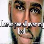 Theres pee all over my bed meme