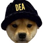 Dog enforcement agency