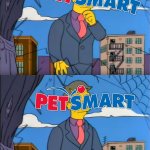 Out of Touch Petsmart