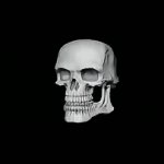 Skull Spinning Bad to the Bone | BAD TO THE BONE | image tagged in gif,skull spinning | made w/ Imgflip video-to-gif maker