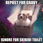repost for gravy