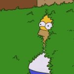 Homer Simpson medo de meme GIF Template