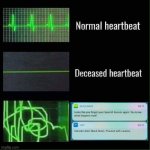 Heart beat meme | image tagged in heart beat meme,funny,memes,duolingo,duolingo bird,duo | made w/ Imgflip meme maker