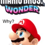 Mario wonders