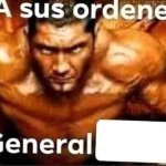 A sus ordenes general