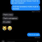 Texas banned porn hub