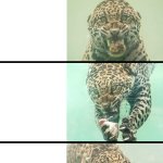 fhangry jaguar