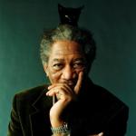 Morgan Freeman Cat on Head