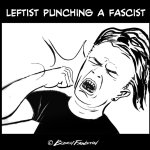 Leftist punching a fascist