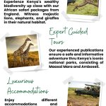 African Safari Packages From England