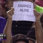 Snakes Alive