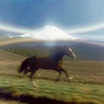 Running Horse Past Mountain
