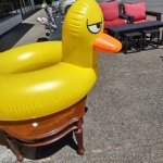 Irritated duck | OH REALLY... | image tagged in irritated duck,funny | made w/ Imgflip meme maker