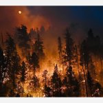 RUIDOSO DONATION & FIRE UPDATE