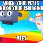 name | WHEN  YOUR PET IS  CHEWING ON YOUR CHARGING CABLE; YEET | image tagged in name | made w/ Imgflip meme maker