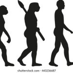 ape to computer evolution man